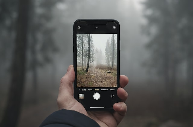 person holding iphone taking photo of brown trees